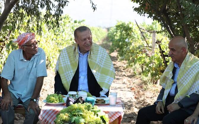 Türkiye ikinci tura koşarken Manisa'da asma yaprağı telaşı yaşanıyor!